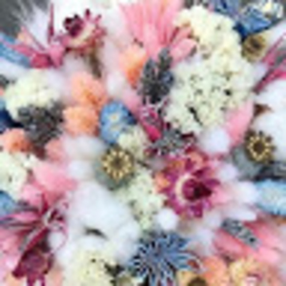 Meet your Posher, Tess - Picture 1 of 1